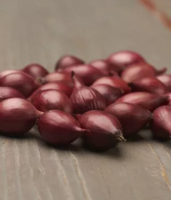 Karmen onion long red from the Netherlands