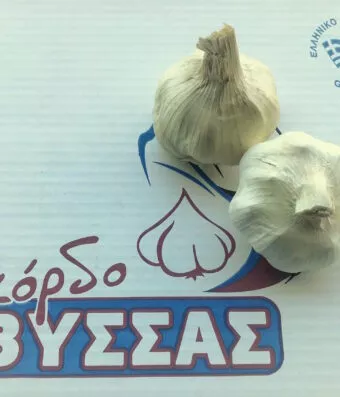 Vyssas Garlic (Traditional Greek Variety)