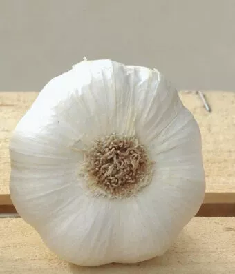 Messidrome Garlic