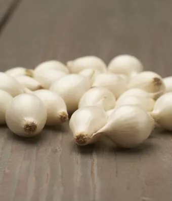 White Snowball round white onion from the Netherlands