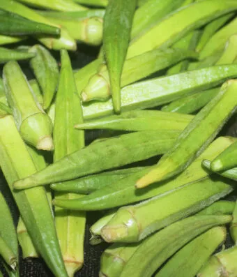 Okra Pylaias