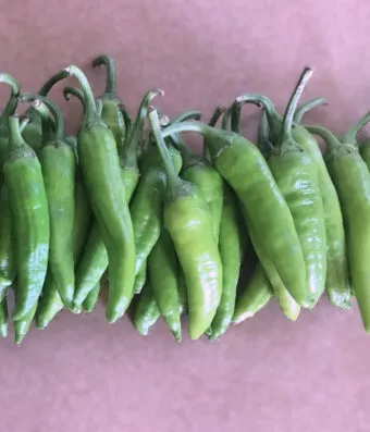 PEPPER MACEDONIAN (Pointed Green Spicy Pickling Pepper)